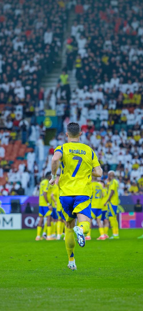 天津市公示体育资助项目，津门虎去年外援引进资金为2300万